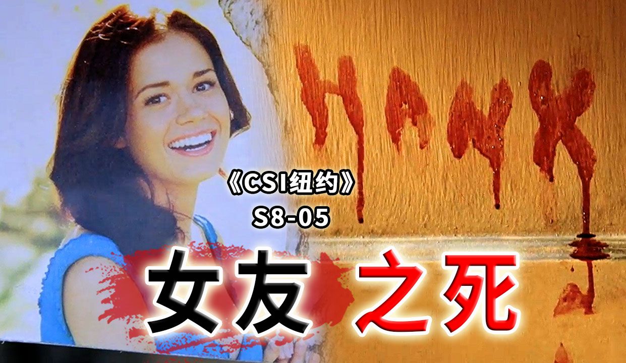 女友被捅10刀无故被害！刚出狱就死老婆，自己还成了疑凶《CSI纽约》S8-05