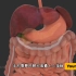 乔布斯做过的手术，腹腔最复杂手术，3D演示。。