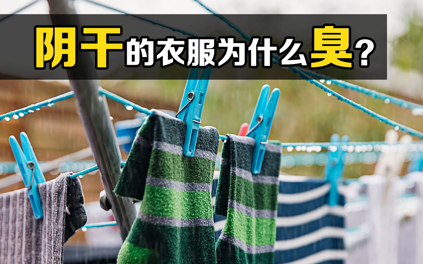 阴干的衣服,为什么会有股“馊味”?北方人不懂的噩梦!哔哩哔哩bilibili