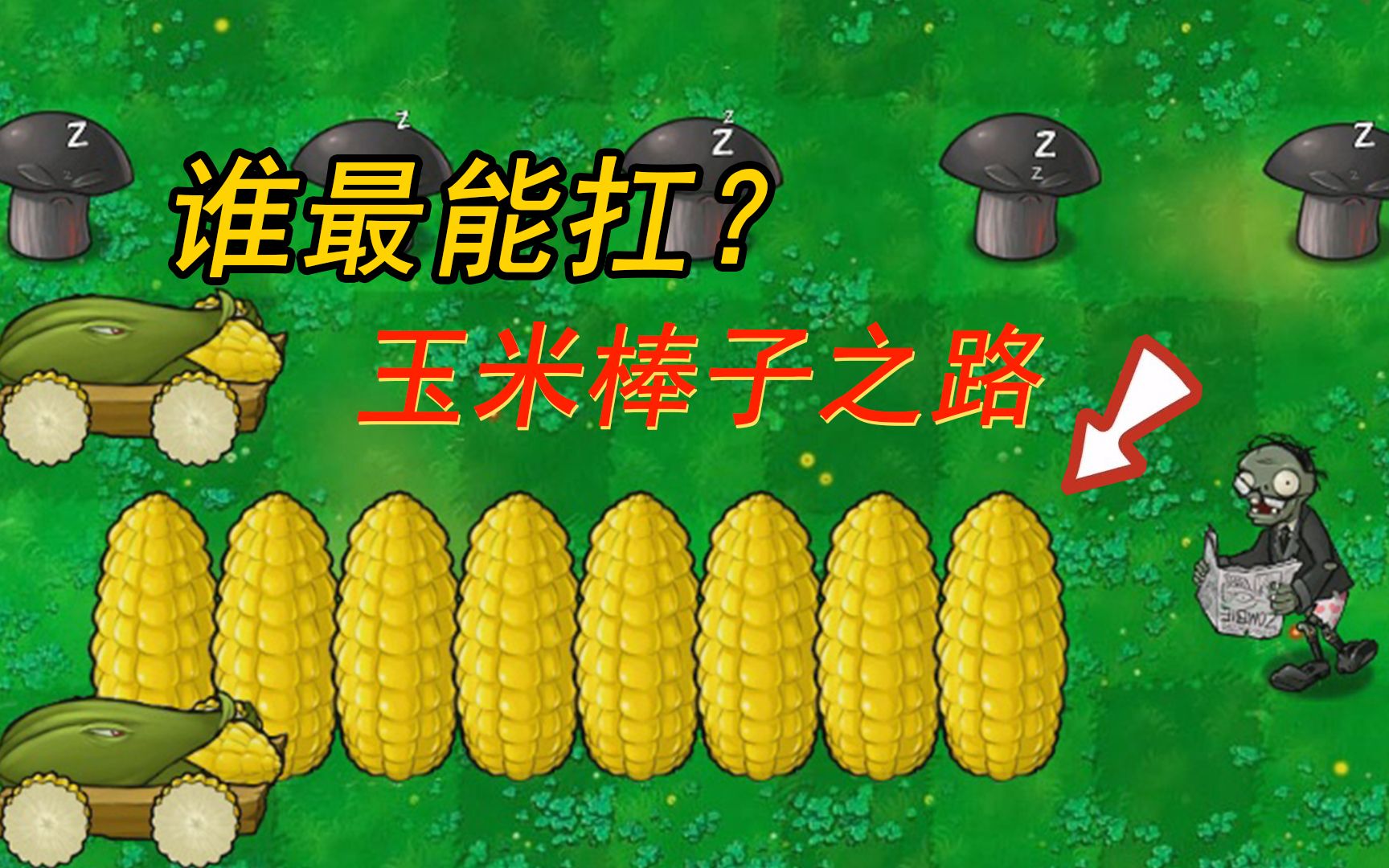 植物大战僵尸把玉米棒子停留在草坪上谁最能抗