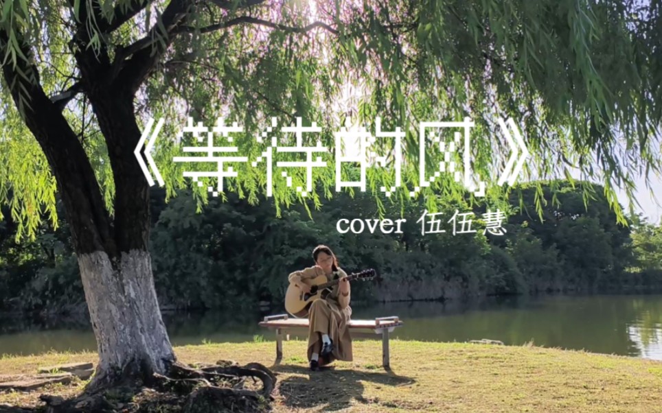 【吉他指弹】《等待的风》cover伍伍慧｜  我爱热烈的阳光，和自由的风