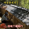两间鸡舍同时搭建完毕，还做了推拉门，我的乡野山居生活更有盼头了