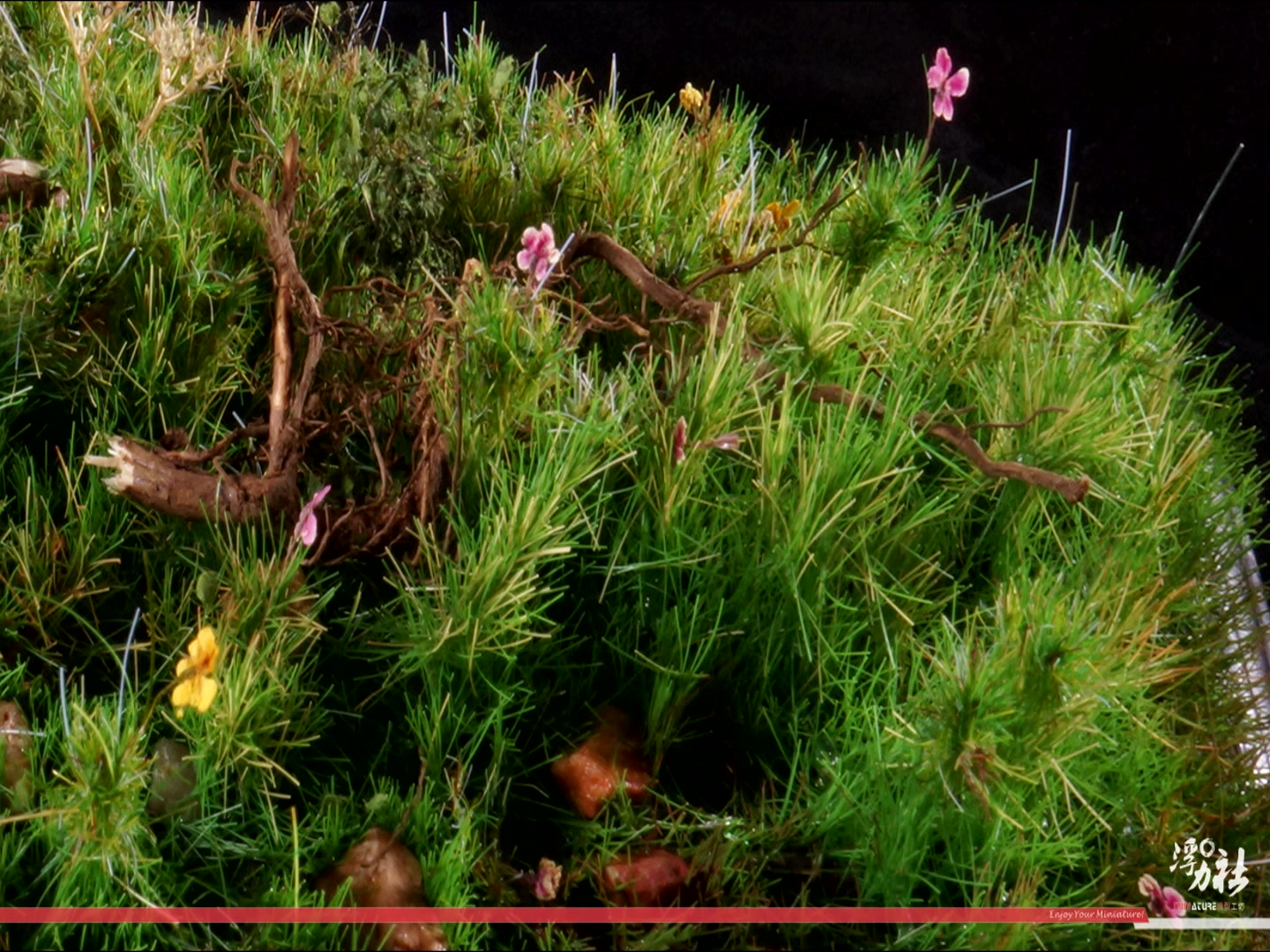 用植草神器制作一片仿真草地