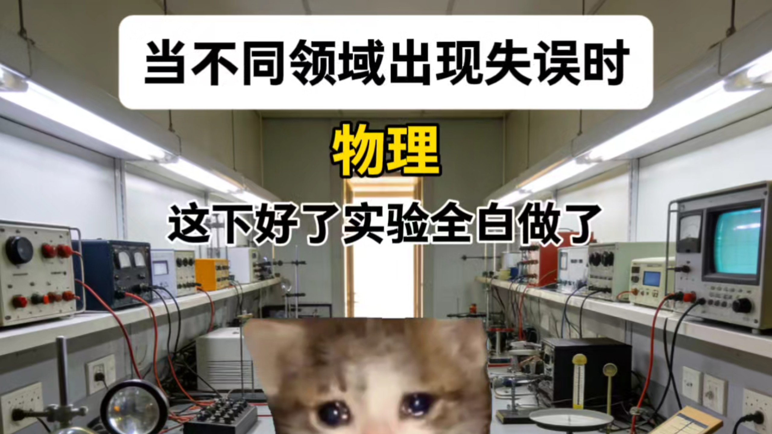 当不同领域出现失误时 #娱乐 #猫meme #请勿模仿危险动作