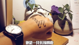 5f9c946399295fa9fefcaa20c7e31d486fbfba9a.jpg@280w_158h_1c_100q.jpg