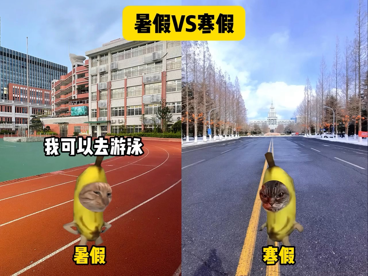 暑假VS寒假#猫meme#内容过于真实#抽象