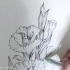 【植物线描系列】画一朵与唐朝无关的唐菖蒲