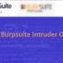 第十课 Burpsuite Intruder Options