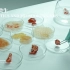 【毕设短片】《抗生与微生》中国美术学院·创新设计学院·技术与造物研究所·材料生态与生长工作室