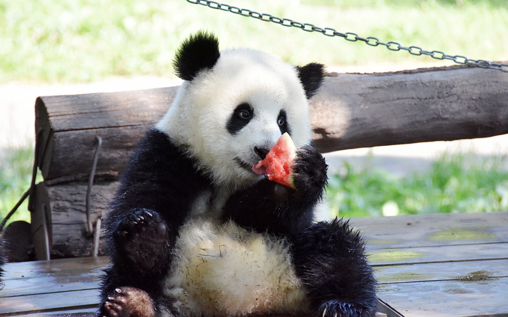 【重动三宝】清内存,重动三宝吃西瓜