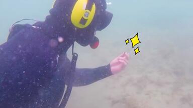 【<em class="keyword">海底</em>寻宝】第三集 找到金戒指！