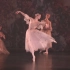 丹麦皇家芭蕾舞团 仙女 Ida Praetorius 2020（节选）（1080P）