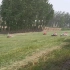 堤坝割草机群作业，斜坡55度护坡割草开荒机