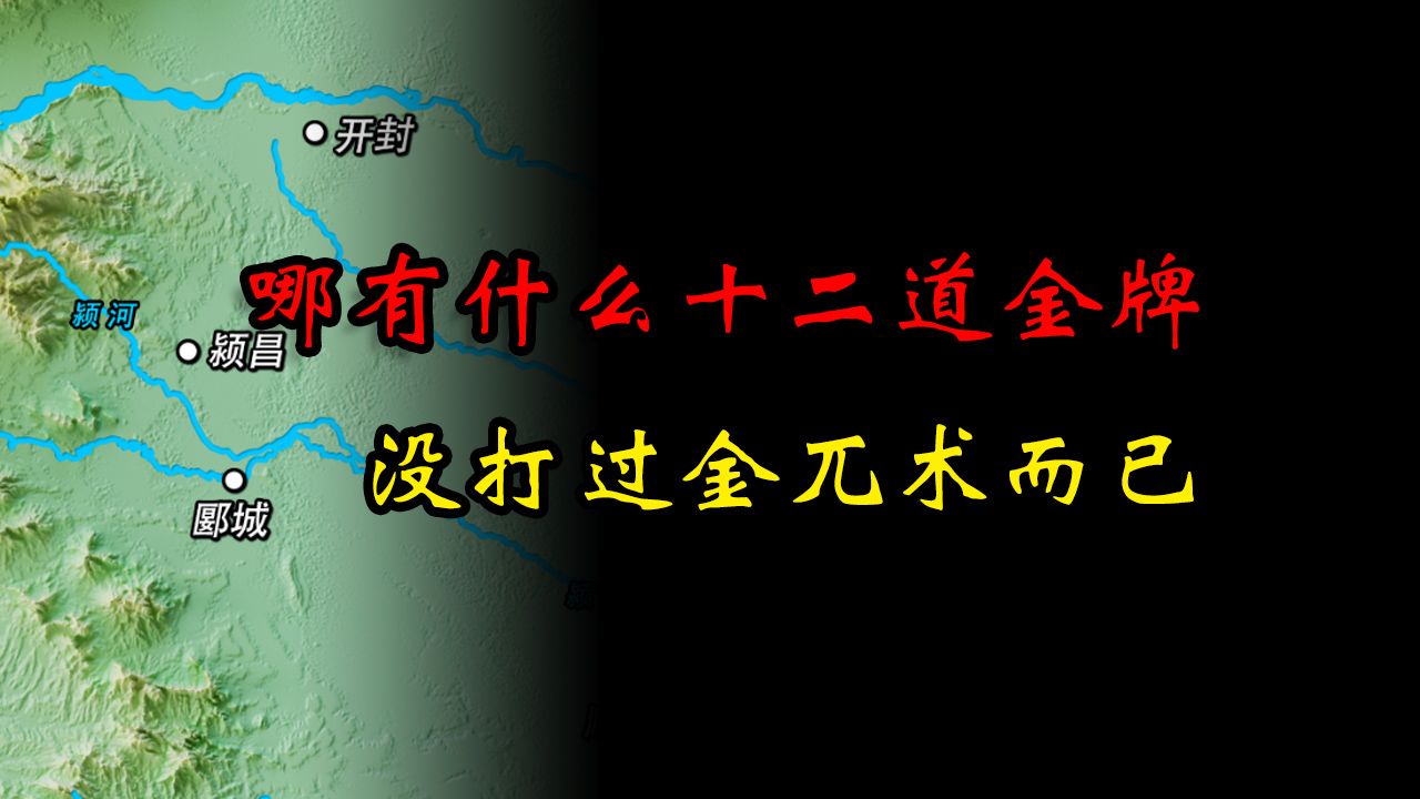疑点重重的岳飞北伐