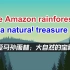高中英语必修三unit1Reading: The Amazon rainforest 翻译版本