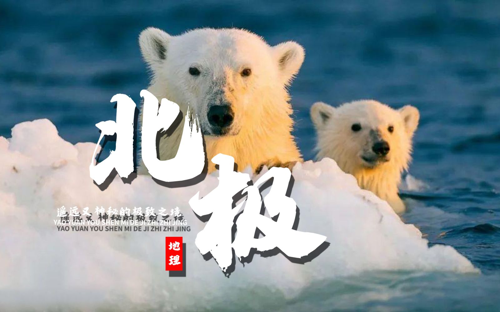 课前三分钟，地理不用愁——北极【看纪录片学地理】