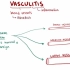 【搬运osmosis（英文+简体）】Vasculitis