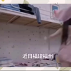 女大学生偷拍室友供男友意淫长达9个月，视频被男友泄露