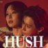 朴草娥 x 张贤胜《MissA - Hush》合作舞台公开！
