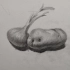 静物素描大蒜与土豆组合的画法