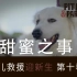 【纪录片】狗儿救援迎新生 第十季 14 甜蜜之事