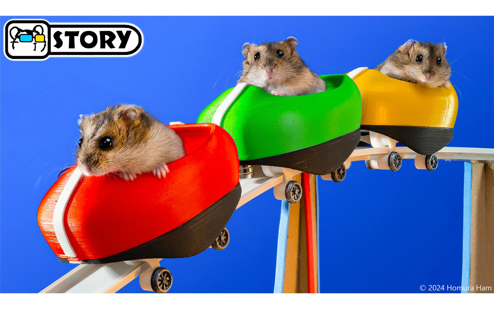 在游乐园迷宫中乘坐世界上最大过山车的仓鼠 🐹 Homura Ham