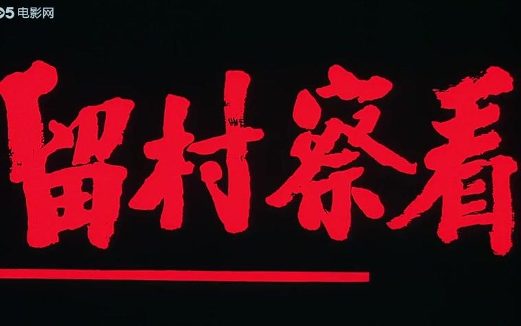 【剧情/家庭】留村察看-1994