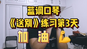 布鲁斯口琴入门简谱_布鲁斯口琴简谱(3)