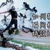 【PR教程】五分钟在PR中制作出超酷炫的瞬间移动特效