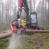 挖掘机砍树 你见过吗？