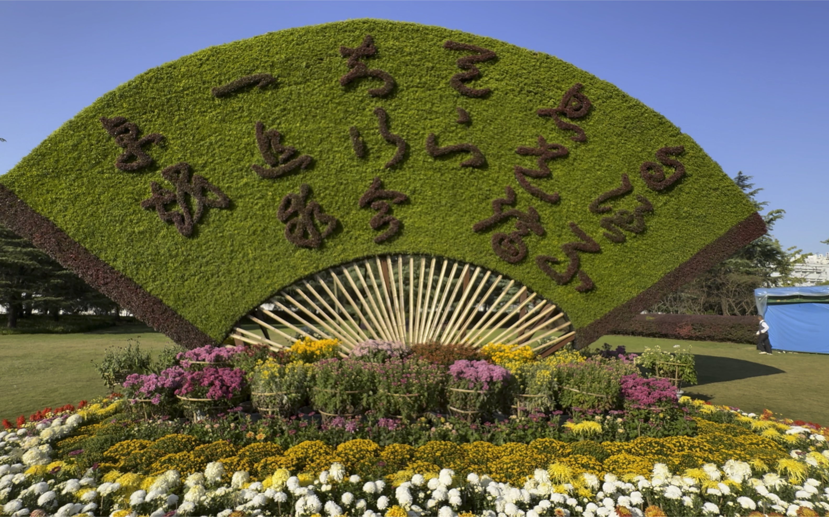 [杜比世界] 上海 云游上海大学第21届菊花展 场地设计非常好 共有两块区域 值得推荐