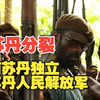 苏丹分裂，南苏丹独立，苏丹人民解放军【直播切片