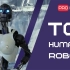 2021顶级人形机器人