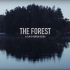 【挪威延时】森林秘境 THE FOREST a film by Morten Rustad