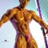 韩国健美先生比赛，好大的肌肉