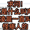 大半夜真瘆人！这是什么叫声