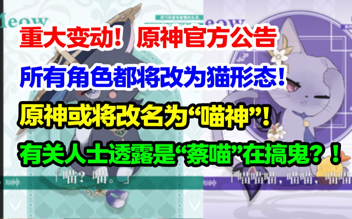 重大消息!原神官方公告将实装猫形态角色!原神或将改名“喵神“?背后竟是蔡喵宫斗大戏!【快讯】哔哩哔哩bilibili