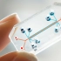 微流控芯片应用于生命科学-TED演讲
