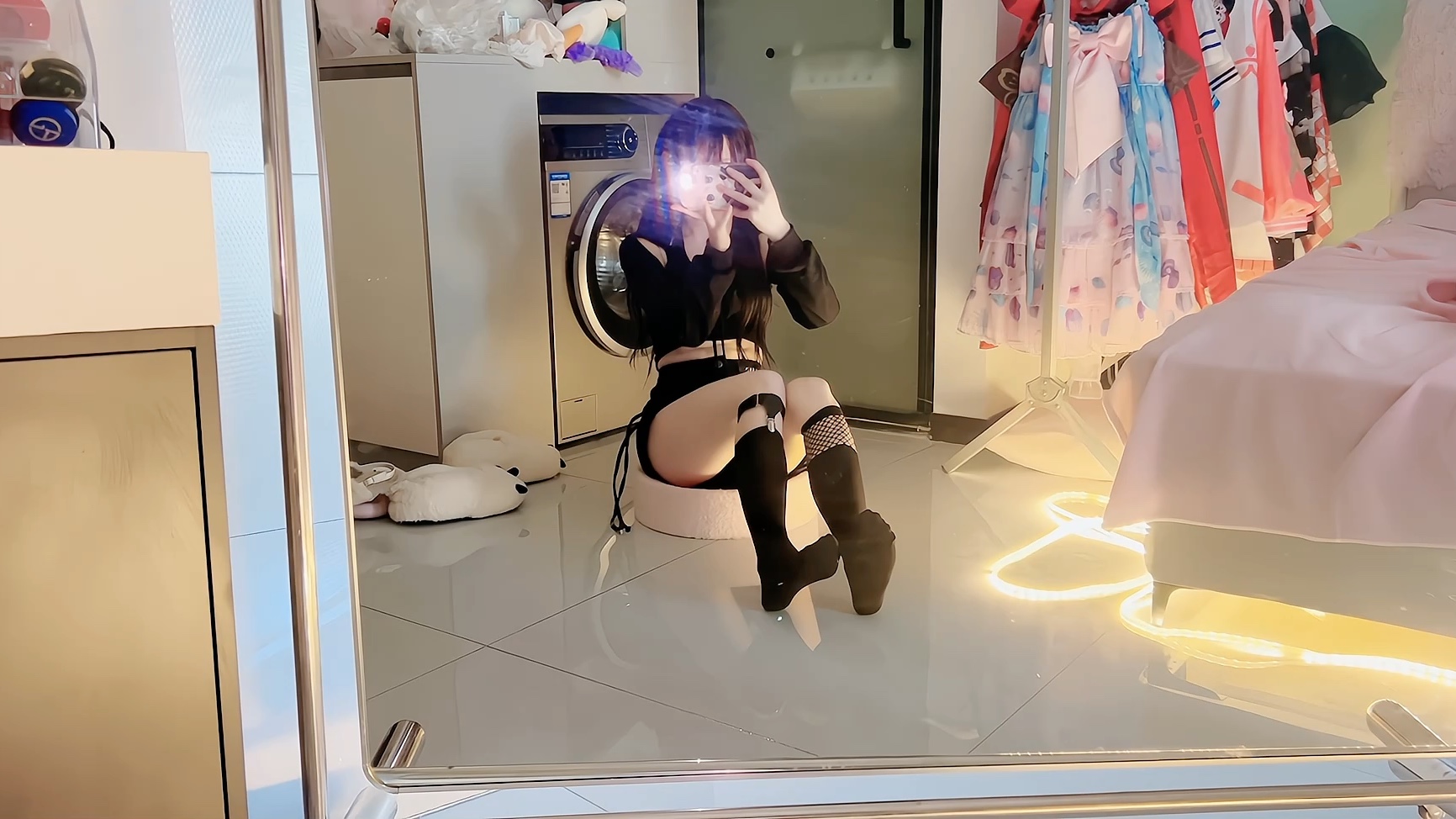 [Softie Cat has become an adult] Video loading, check out the surprises quickly!