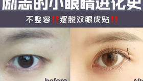 618f8d2cc13dec5db9f1c6cfcc3ae75821c8547b.jpg@280w_158h_1c_100q.jpg