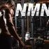 NMN实验-逆转衰老/延长寿命