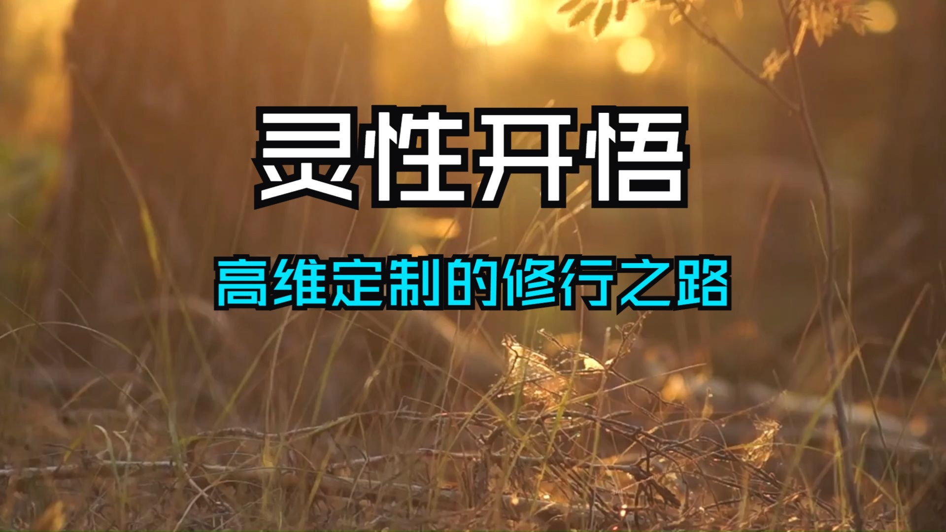 宇宙亲自指引高灵性天选之人！灵性开悟的三个阶段层层递进，这是高维定制的修行之路，你已行至哪一阶段？