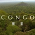 【纪录片】刚果【1080p】【双语特效字幕】【纪录片之家爱自然】