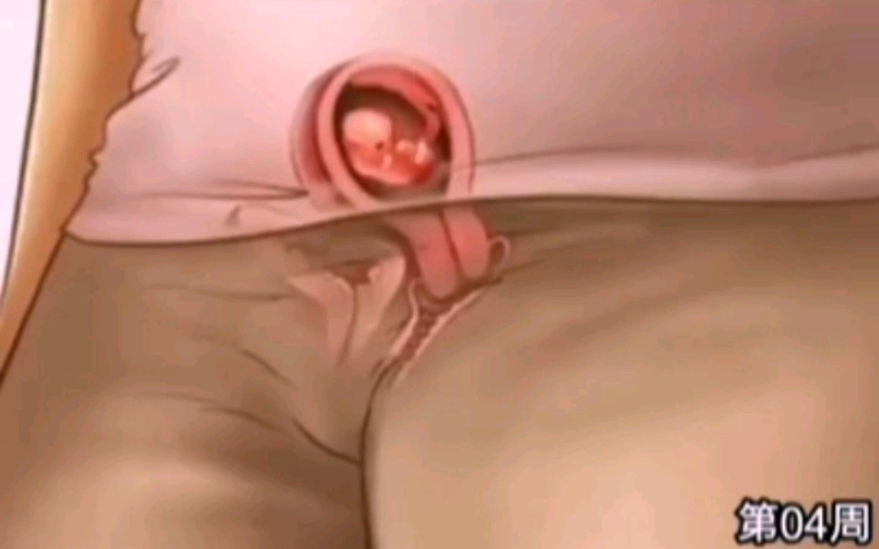 “十月怀胎，一朝分娩”
