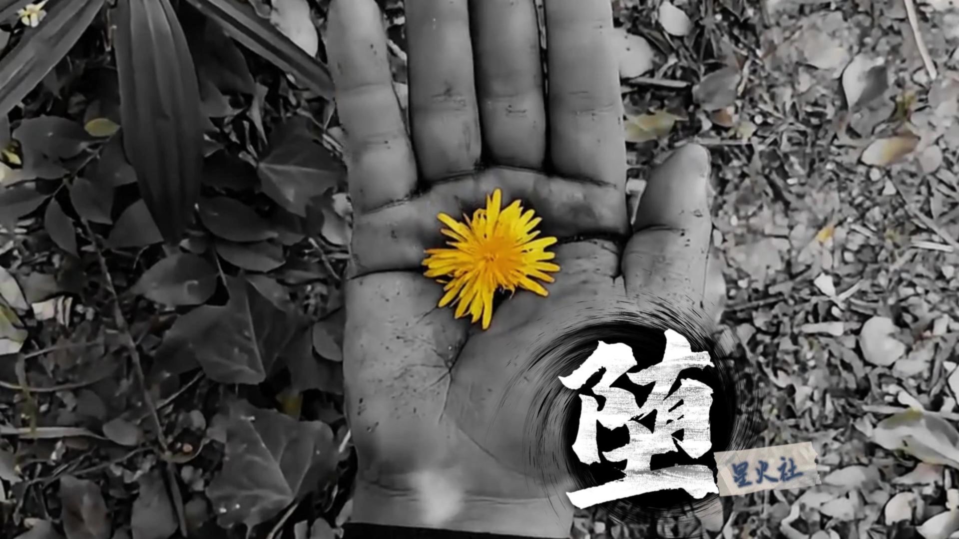 星火社《堕 (合唱版)》 她是踏碎星河落入我梦境的幻想 环遍星系为你寻找的力量