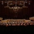Sibelius VC, Tchaikovsky Sym No. 5 - Giuseppe Sinopoli, Reik