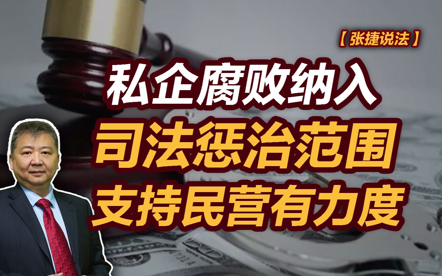 【张捷说法】私企腐败纳入司法惩治范围支持民营有力度哔哩哔哩bilibili