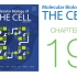 《细胞的分子生物学》第19章 细胞连接与胞外基质 配套视频（字幕重制版）