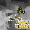 【SmartBoom】中字｜250516 密室逃脱vlog “高大且弱小 强壮但无助