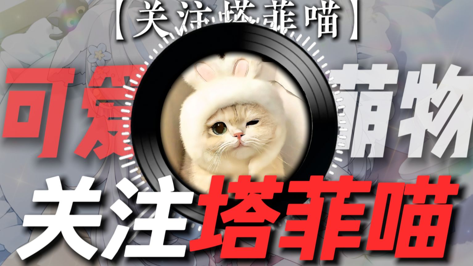 单曲循环 | 【关注塔菲喵】“关注塔菲喵 关注塔菲谢谢喵” 萌物の小曲 可爱小猫の小曲